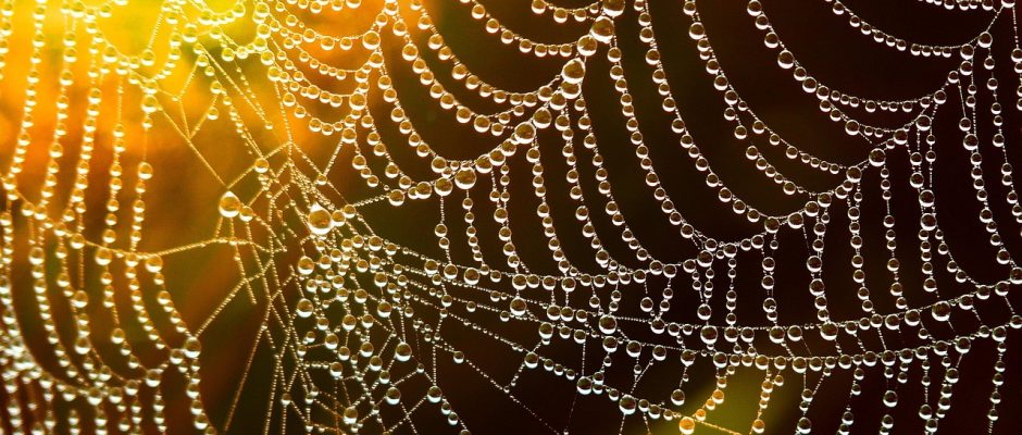 Grundläggande teknik och strategi i modern webbutveckling