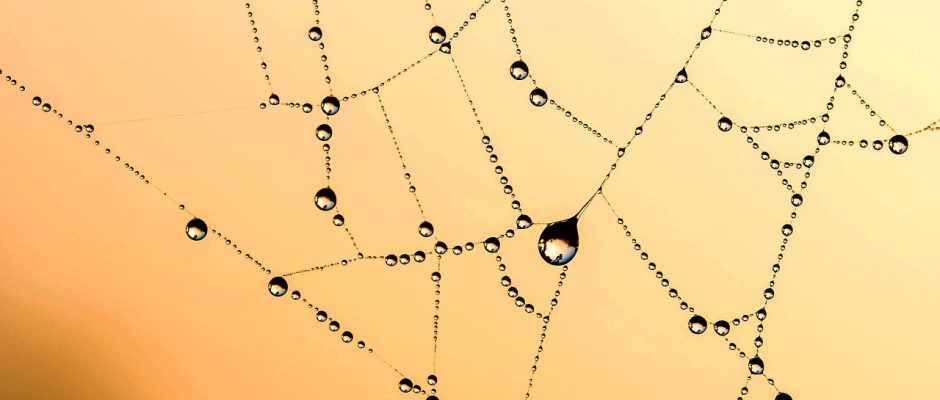 Progressiva webbappar i fokus