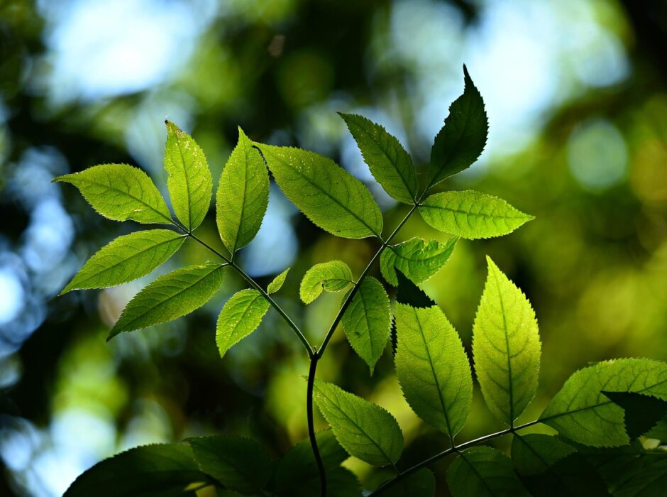 Utforska JavaScript-världens fascinerande bibliotek och ramverk Utforska JavaScript-världens fascinerande bibliotek och ramverk